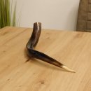 1 Stück Kudu Aussenhorn glanzpoliert mini Neu H 51 cm 80.20.5.13