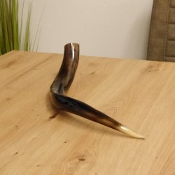 1 Stück Kudu Aussenhorn glanzpoliert mini Neu H 51 cm 80.20.5.13
