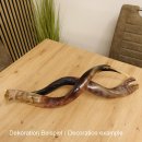 1 Stück Kudu Aussenhorn glanzpoliert medium Neu H 77 cm 80.20.5.19