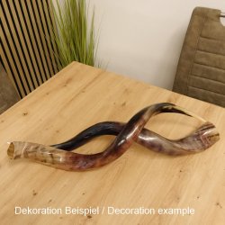 1 Stück Kudu Aussenhorn glanzpoliert medium Neu H 77 cm 80.20.5.19