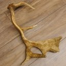 Damhirschstange Länge 43 cm Hirsch Damhirsch Geweih Stange 73.1.190