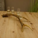 Schnapsanbieter 4 kleine Gläser Steckglas mit Stiel auf Rothirschstange Geschenk 27.60.2.13