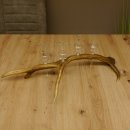 Schnapsanbieter 4 kleine Gläser Steckglas mit Stiel auf Rothirschstange Geschenk 27.60.2.13