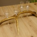 Schnapsanbieter 4 kleine Gläser Steckglas mit Stiel auf Rothirschstange Geschenk 27.60.2.13