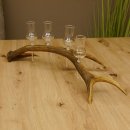 Schnapsanbieter 4 kleine Gläser Steckglas mit Stiel auf Rothirschstange Geschenk 27.60.2.13