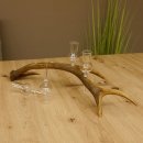 Schnapsanbieter 4 kleine Gläser Steckglas mit Stiel auf Rothirschstange Geschenk 27.60.2.13
