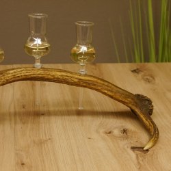 Schnapsanbieter 4 kleine Gläser Steckglas mit Stiel auf Rothirschstange Geschenk 27.60.2.13