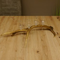 Schnapsanbieter 4 kleine Gläser Steckglas mit Stiel auf Rothirschstange Geschenk 27.60.2.13