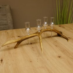 Schnapsanbieter 4 kleine Gläser Steckglas mit Stiel auf Rothirschstange Geschenk 27.60.2.13