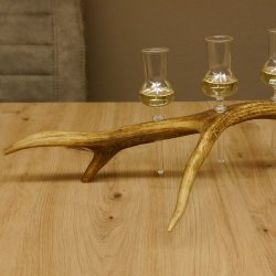 Schnapsanbieter 4 kleine Gläser Steckglas mit Stiel auf Rothirschstange Geschenk 27.60.2.13