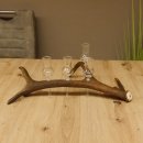 Schnapsanbieter 4 kleine Gläser Steckglas mit Stiel auf Rothirschstange Geschenk 27.60.2.15
