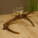 Schnapsanbieter 4 kleine Gläser Steckglas mit Stiel auf Rothirschstange Geschenk 27.60.2.15