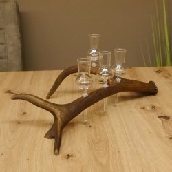 Schnapsanbieter 4 kleine Gläser Steckglas mit Stiel auf Rothirschstange Geschenk 27.60.2.15