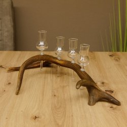 Schnapsanbieter 4 kleine Gläser Steckglas mit Stiel auf Rothirschstange Geschenk 27.60.2.15