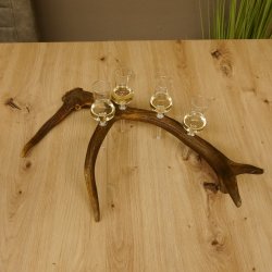 Schnapsanbieter 4 kleine Gläser Steckglas mit Stiel auf Rothirschstange Geschenk 27.60.2.15