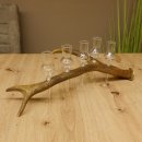 Schnapsanbieter 5 kleine Gläser Steckglas mit Stiel auf Rothirschstange Geschenk 27.60.2.24