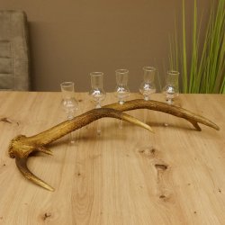Schnapsanbieter 5 kleine Gläser Steckglas mit Stiel auf Rothirschstange Geschenk 27.60.2.24