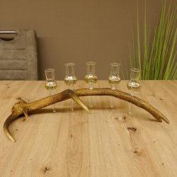 Schnapsanbieter 5 kleine Gläser Steckglas mit Stiel auf Rothirschstange Geschenk 27.60.2.24