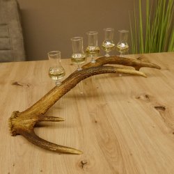 Schnapsanbieter 5 kleine Gläser Steckglas mit Stiel auf Rothirschstange Geschenk 27.60.2.24