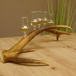 Schnapsanbieter 5 kleine Gläser Steckglas mit Stiel auf Rothirschstange Geschenk 27.60.2.24