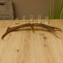 Schnapsanbieter 5 kleine Gläser Steckglas mit Stiel auf Rothirschstange Geschenk 27.60.2.27