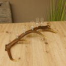 Schnapsanbieter 5 kleine Gläser Steckglas mit Stiel auf Rothirschstange Geschenk 27.60.2.27