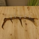 Schnapsanbieter 5 kleine Gläser Steckglas mit Stiel auf Rothirschstange Geschenk 27.60.2.27