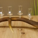 Schnapsanbieter 5 kleine Gläser Steckglas mit Stiel auf Rothirschstange Geschenk 27.60.2.27