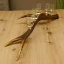 Schnapsanbieter 5 kleine Gläser Steckglas mit Stiel auf Rothirschstange Geschenk 27.60.2.27