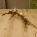 Schnapsanbieter 5 kleine Gläser Steckglas mit Stiel auf Rothirschstange Geschenk 27.60.2.27
