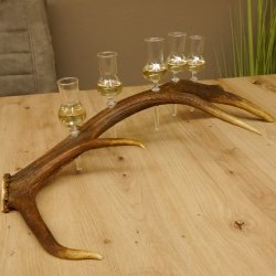 Schnapsanbieter 5 kleine Gläser Steckglas mit Stiel auf Rothirschstange Geschenk 27.60.2.27