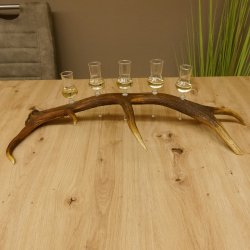 Schnapsanbieter 5 kleine Gläser Steckglas mit Stiel auf Rothirschstange Geschenk 27.60.2.27