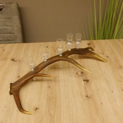 Schnapsanbieter 5 kleine Gläser Steckglas mit Stiel auf Rothirschstange Geschenk 27.60.2.27