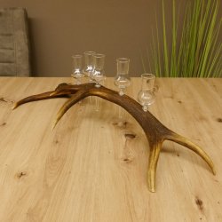 Schnapsanbieter 5 kleine Gläser Steckglas mit Stiel auf Rothirschstange Geschenk 27.60.2.27