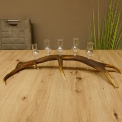 Schnapsanbieter 5 kleine Gläser Steckglas mit Stiel auf Rothirschstange Geschenk 27.60.2.27
