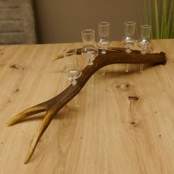 Schnapsanbieter 5 kleine Gläser Steckglas mit Stiel auf Rothirschstange Geschenk 27.60.2.27