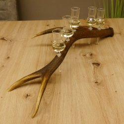 Schnapsanbieter 5 kleine Gläser Steckglas mit Stiel auf Rothirschstange Geschenk 27.60.2.27