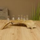 Schnapsanbieter 6 Gläser klein mit Stiel auf Damhirschstange Ständer Steckglas Set Schnaps Geschenk Neu 27.60.3.18