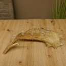 Schnapsanbieter 6 Gläser klein mit Stiel auf Damhirschstange Ständer Steckglas Set Schnaps Geschenk Neu 27.60.3.18