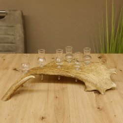 Schnapsanbieter 6 Gläser klein mit Stiel auf Damhirschstange Ständer Steckglas Set Schnaps Geschenk Neu 27.60.3.18