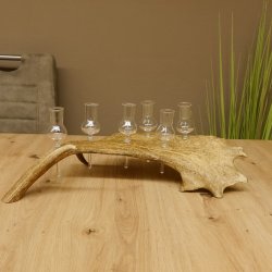 Schnapsanbieter 6 Gläser klein mit Stiel auf Damhirschstange Ständer Steckglas Set Schnaps Geschenk Neu 27.60.3.18