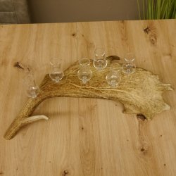 Schnapsanbieter 6 Gläser klein mit Stiel auf Damhirschstange Ständer Steckglas Set Schnaps Geschenk Neu 27.60.3.18