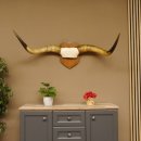 Longhorn Long Horn Rind (Texas Longhorn) Rinderhorn Trophäe