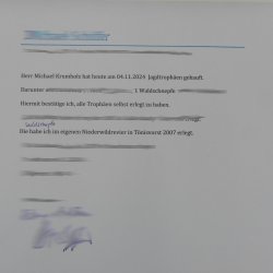 Waldschnepfe Stillleben Vogel Präparat präpariert Tierpräparat mit Genehmigung zur Vermarktung 90.18.9