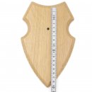 1 Stück Wappenschild AF 19 x12 cm Reh Schild Trophäenschild mit 1 Kieferfach in Eiche hell Gehörnklammer