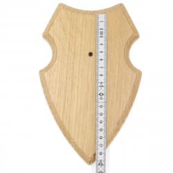 1 Stück Wappenschild AF 19 x12 cm Reh Schild Trophäenschild mit 1 Kieferfach in Eiche hell Gehörnklammer