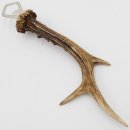 Flaschenöffner Rehstange Öffner Reh Geweih Stange Horn Abwurfstange Länge 29 cm 27.1.472