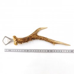 Apribottiglie con corna di capriolo Apribottiglie con corna di capriolo Lunghezza 29 cm 27.1.474
