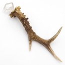 Abrebotellas con asta de ciervo Abrebotellas con cuerno...