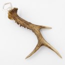Abrebotellas con asta de ciervo Abrebotellas con cuerno de ciervo Longitud 27 cm 27.1.476